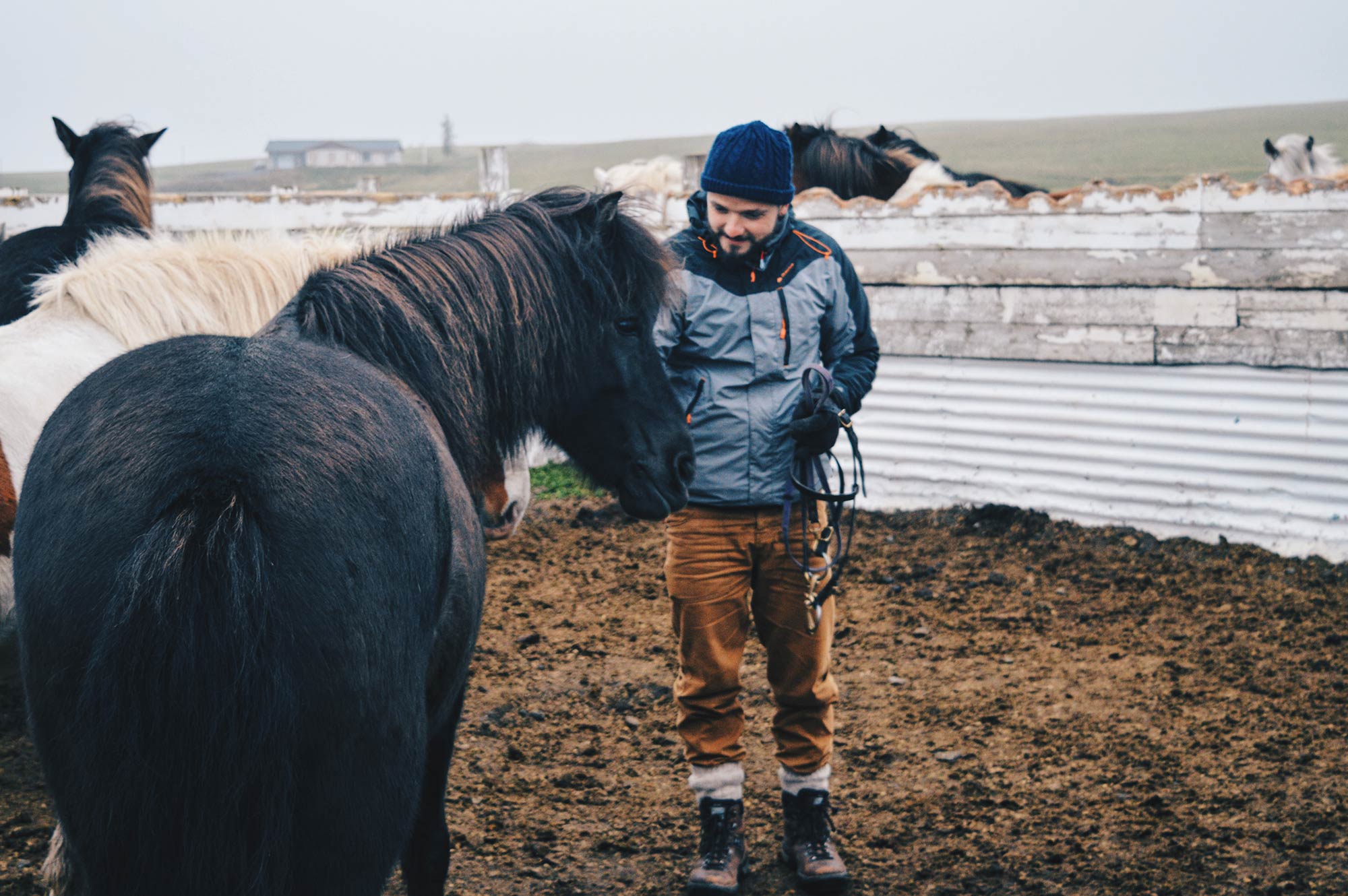 Horseback Riding in North Iceland with Hestasport