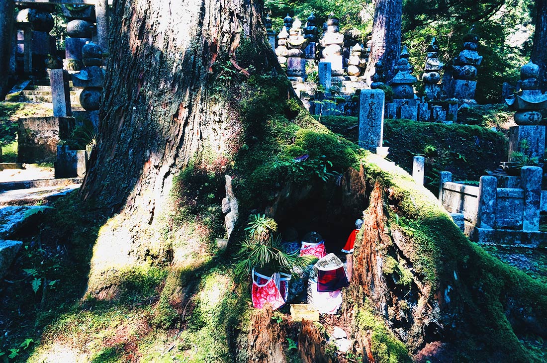 Huge old trees at Okunoin Cemetery in Koyasan © CoupleofMen.com