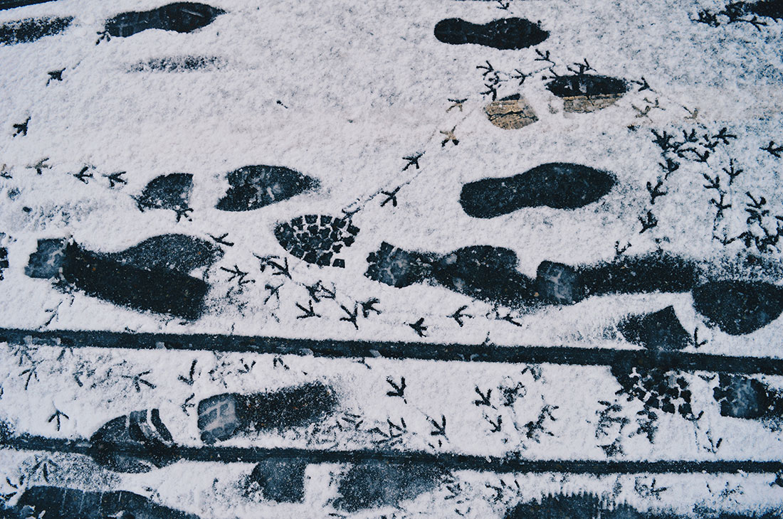 Snow in Amsterdam: Our Dutch Winter Day in the capital of The Netherlands | © CoupleofMen.com