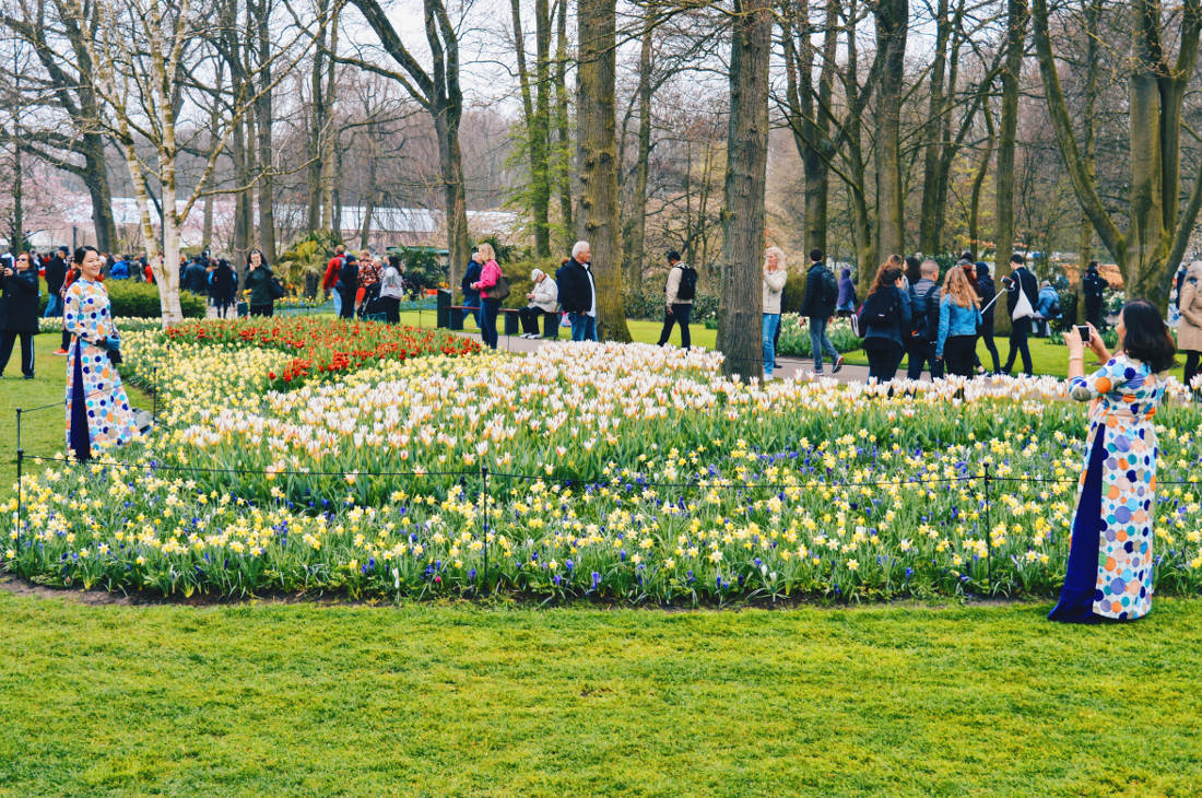 So many photo opportunities | Keukenhof Tulip Blossom Holland © Coupleofmen.com