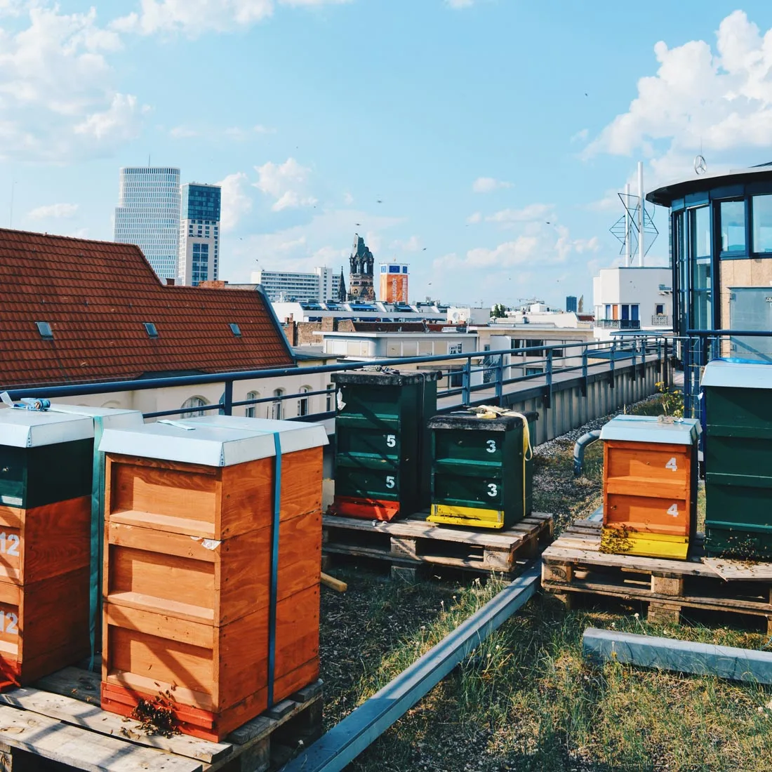 Rooftop is home for thousands of Honey Bees | Scandic Berlin Kurfürstendamm gay-friendly Hotel © Coupleofmen.com