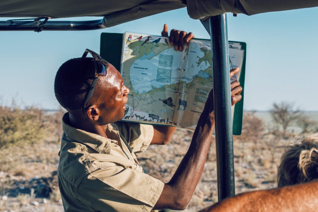Our guide knows everything about the inhabitants of the park and is very proud to show us Etosha in Namibia © Coupleofmen.com