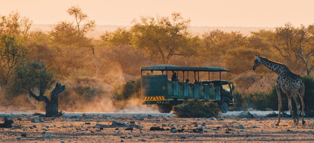 Game Drive Car during Sunset watching a Giraffe from close-by at Etosha National Park Namibia © Coupleofmen.com