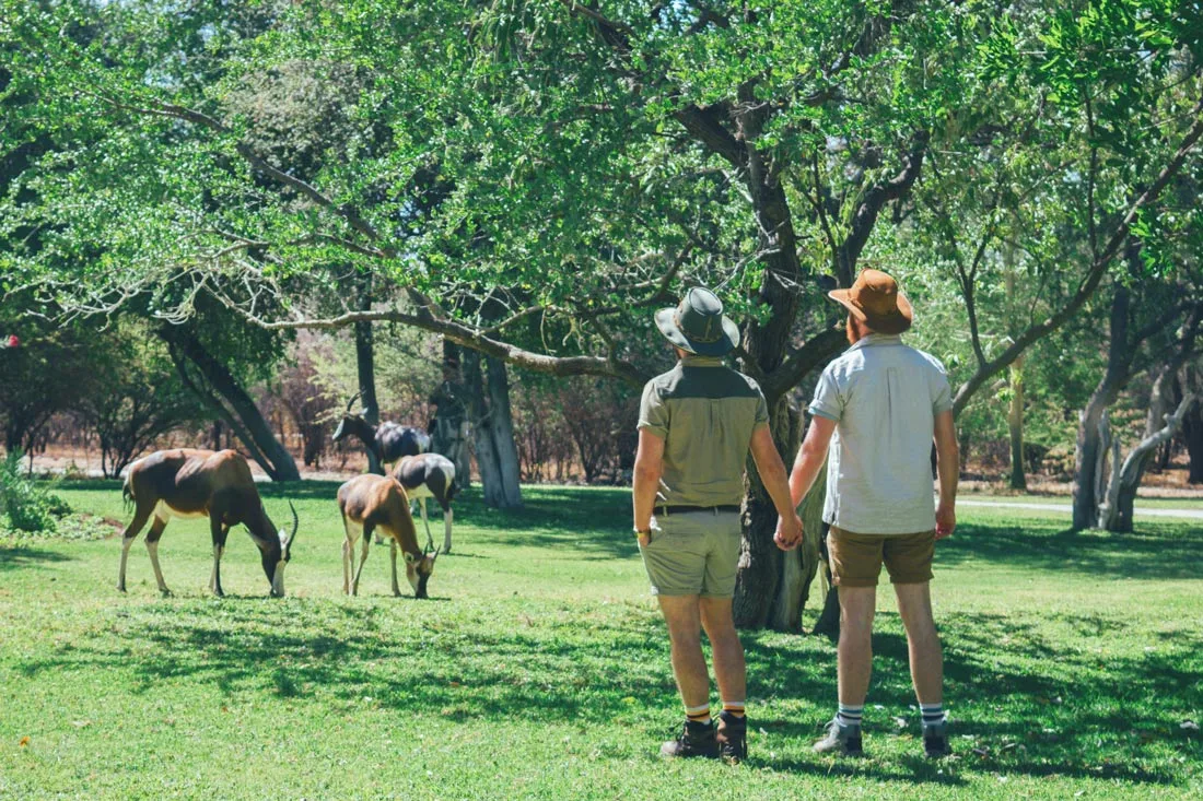 Gay Couple Travel Blogger hand-in-hand watching Game on the grounds of Mokuti Lodge at the East Gate of Etosha in Namibia © Coupleofmen.com