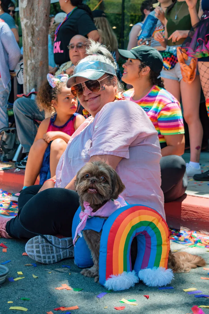 Even some dogs dressed in rainbows supporting LA Pride 2019 in West Hollywood together with their owners © Coupleofmen.com
