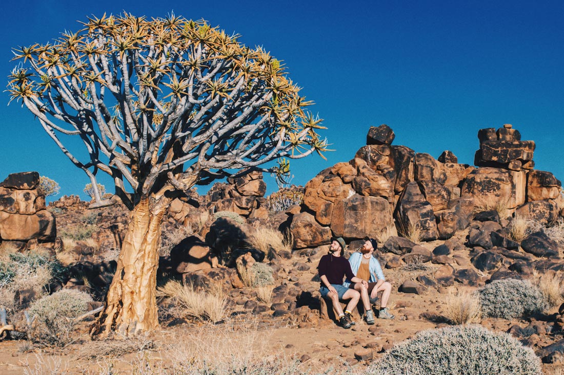 Zugreise Afrika Sitting next to old giants: These special trees called Quiver trees are saving huge amounts of water and are several hundreds of years old © Coupleofmen.com