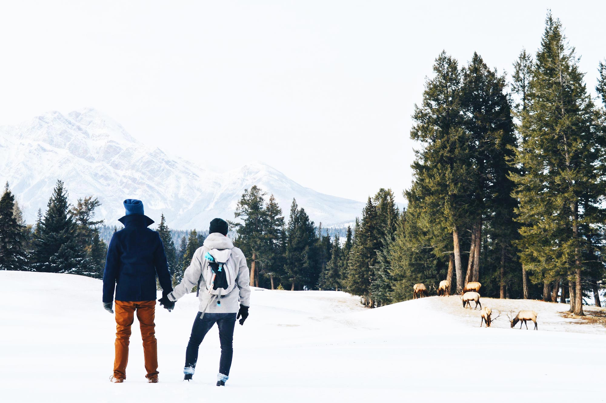 Gay Winterreise nach Kanada: Roadtrip in den Jasper National Park
