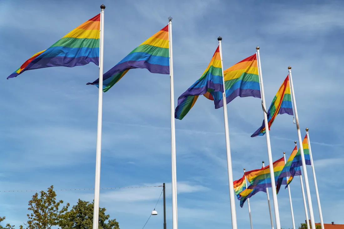 Gay Pride Malmö 2019 Rainbow flags waving over the city of Malmö during pride week 2019 © Coupleofmen.com