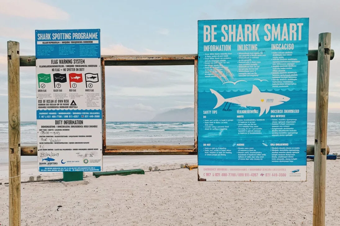 Be Shark Smart - Warning sign at the Muizenberg Beach © Coupleofmen.com