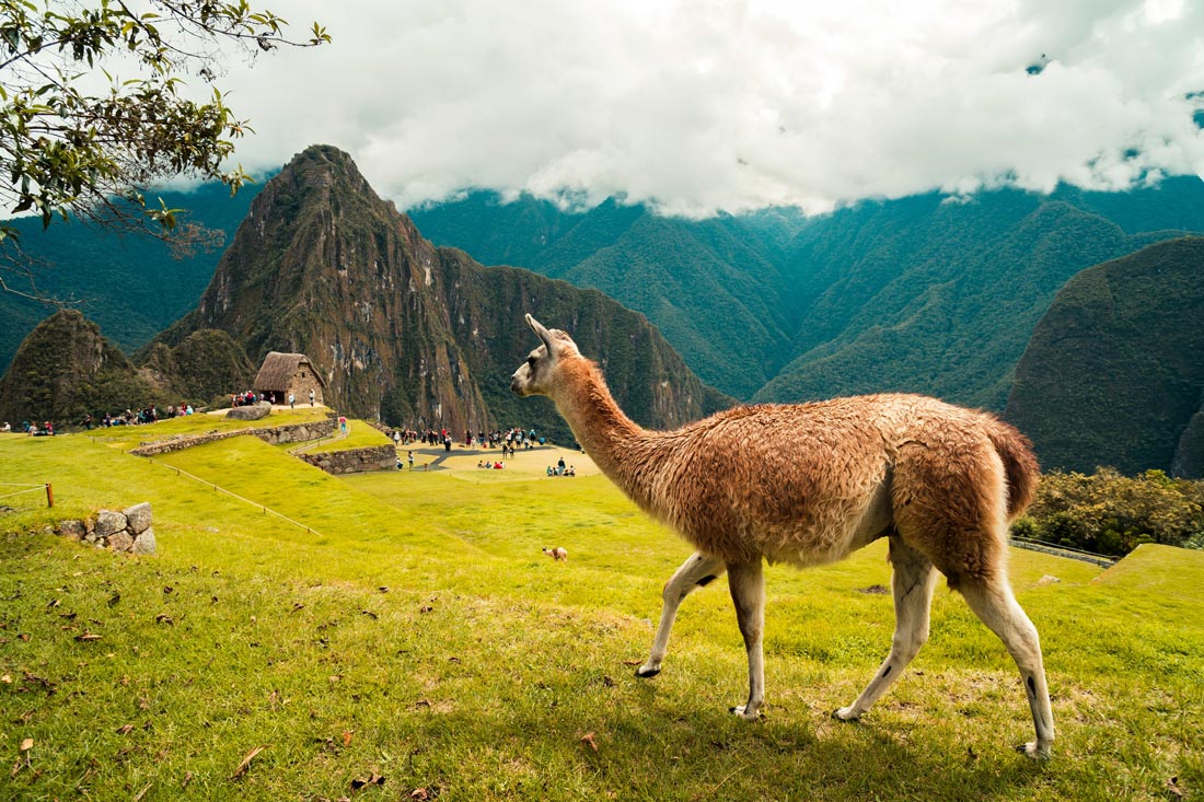 Gay Travel Guide Peru: Machu Picchu