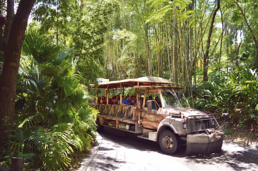 Disney's Animal Kingdom: zoological edutainment