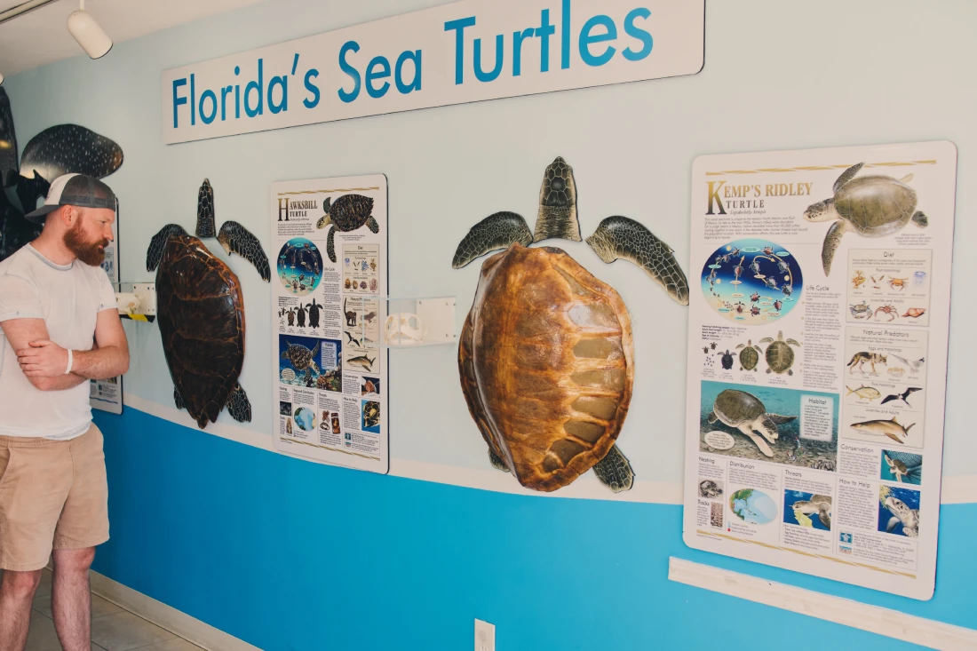 Daan studiert die Informationen zu den verschiedenen Schildkrötenarten in Florida © Coupleofmen.com