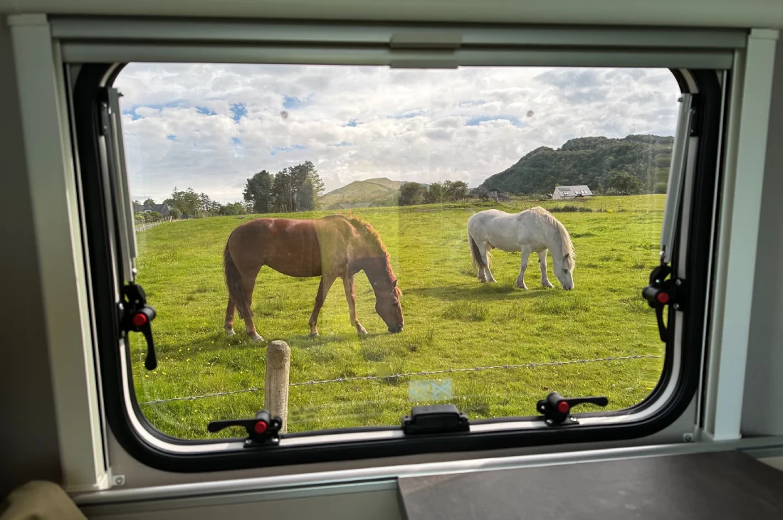 Waving goodbye to the neighbors: two horses at the campsite in Onich © Coupleofmen.com