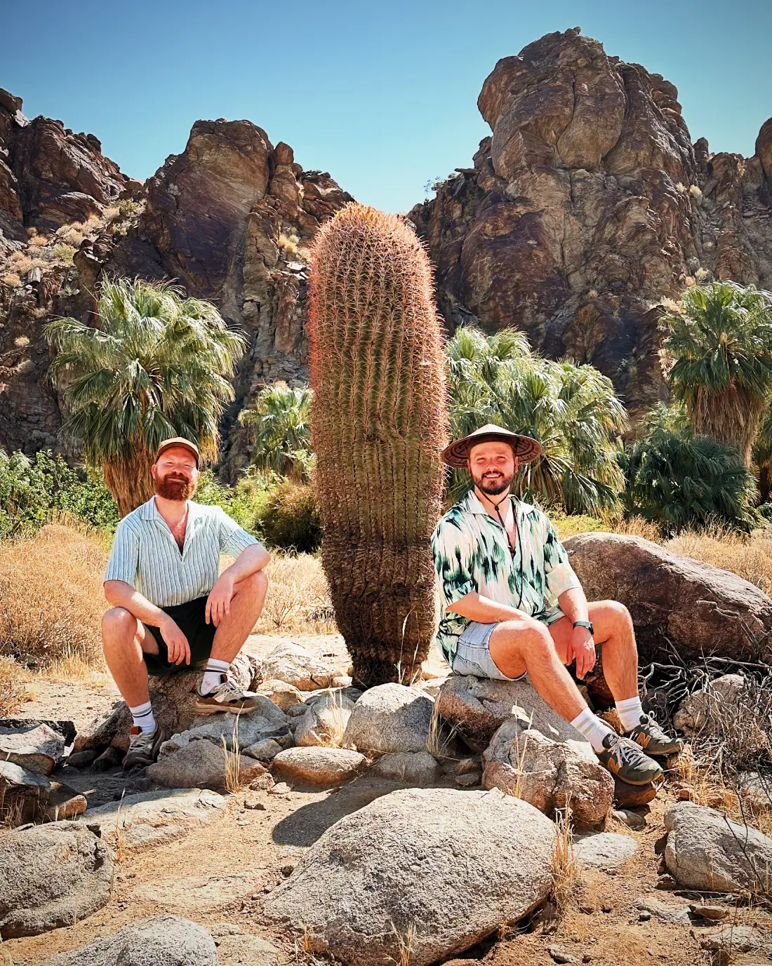 Gigantic Cactus - landmarks at Indian Canyon © Coupleofmen.com