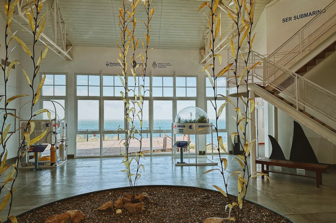 Inside the Ecocentro Puerto Madryn (formerly Ecocentro Pampa Azul) © Coupleofmen.com