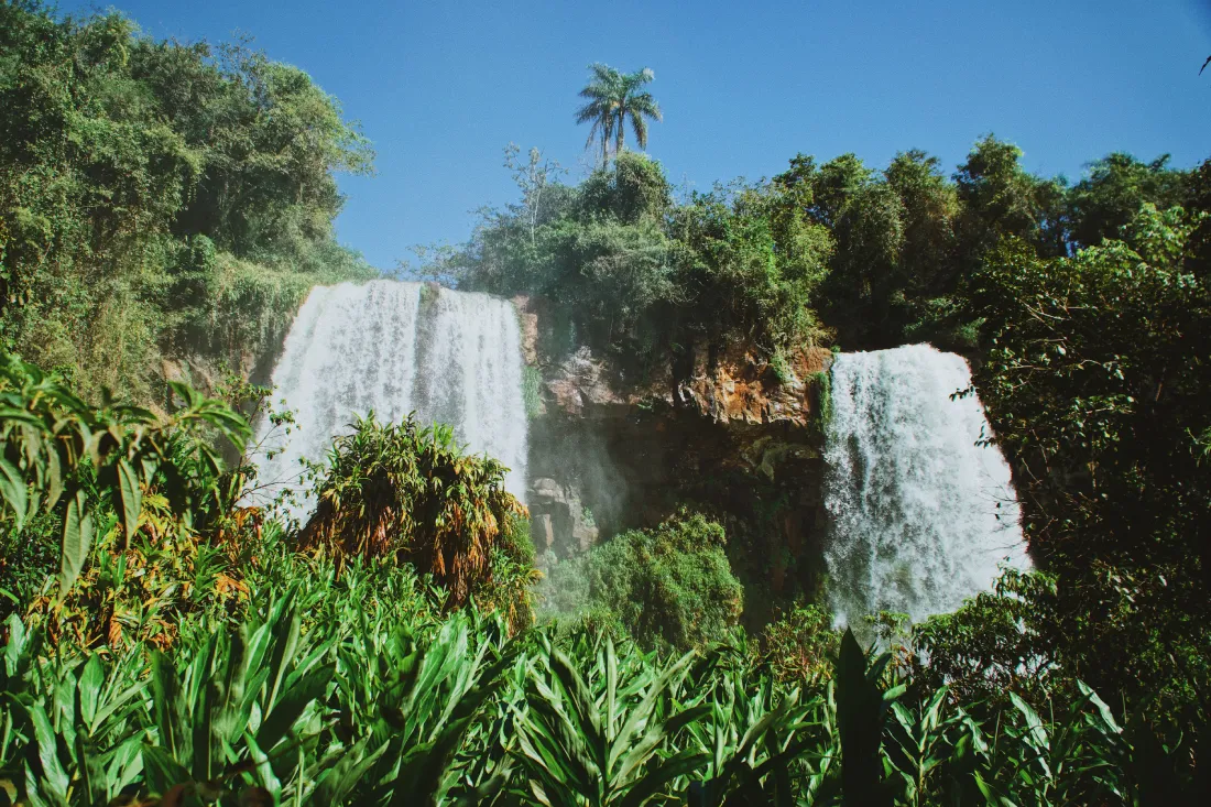 Spectacular nature during our hiking at Iguazu Falls Argentina © Coupleofmen.com