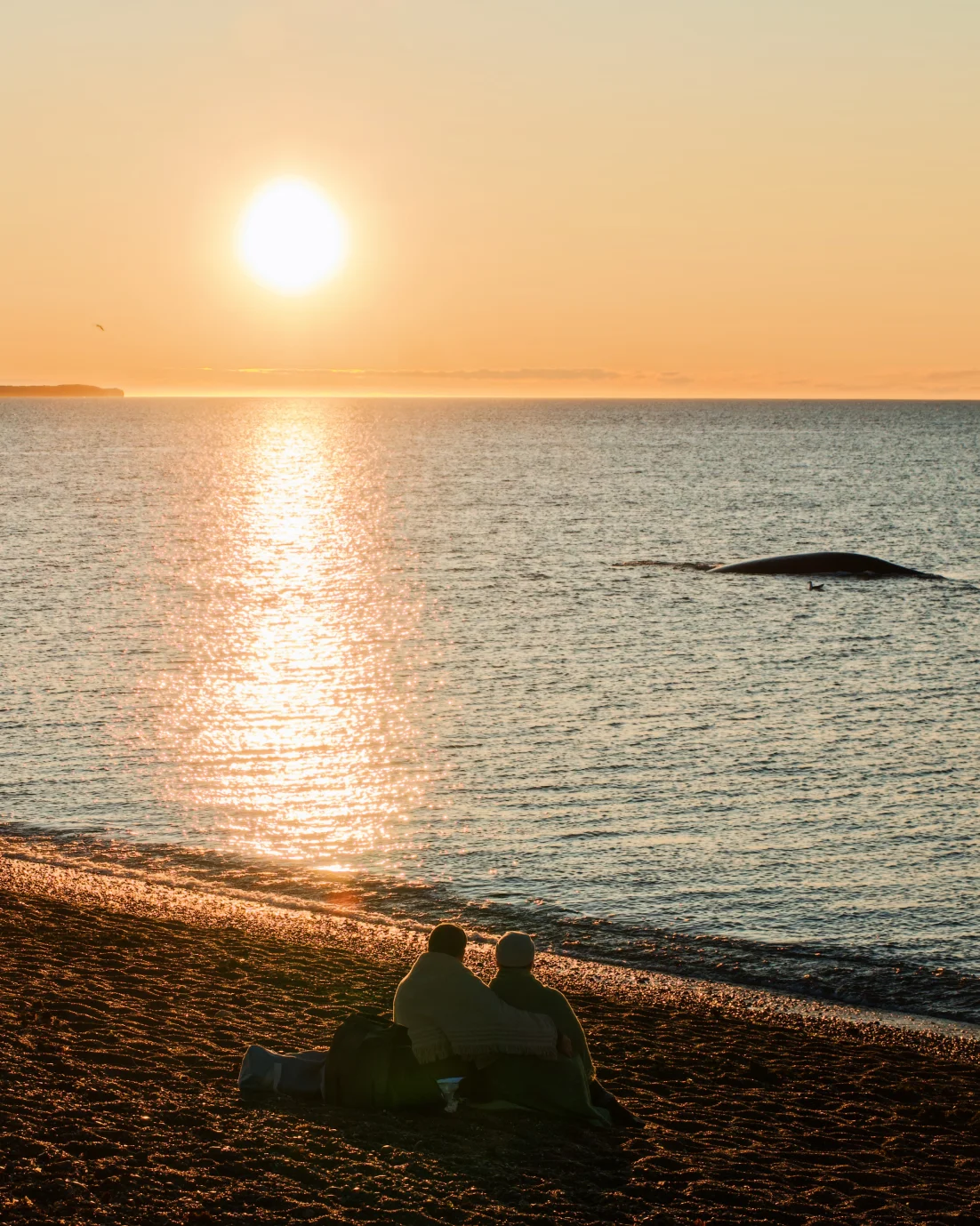 Sunrise whale watching at Playa El Doradillo © Coupleofmen.com gay couple Puerto Madryn