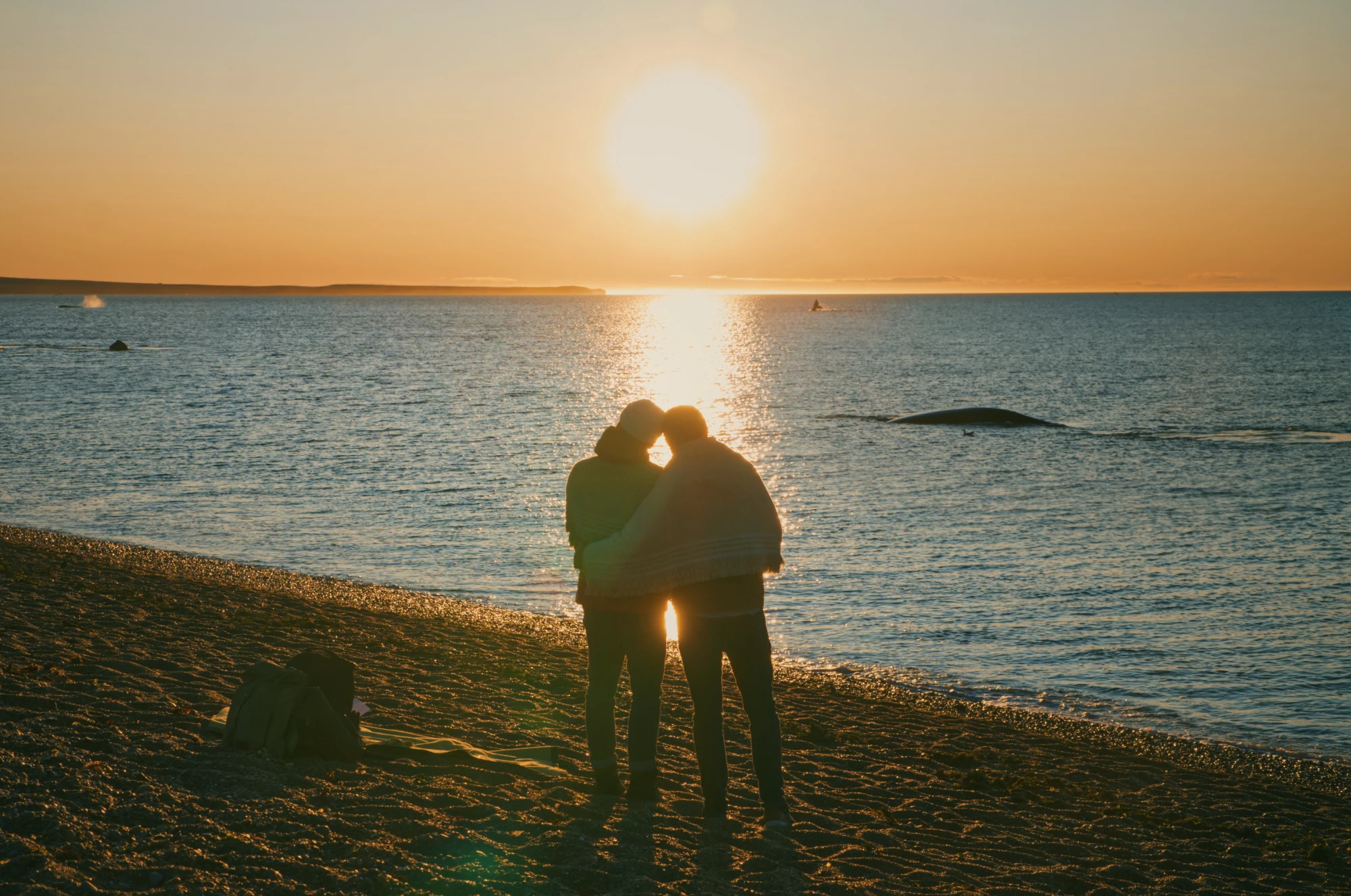 Whale watching Puerto Madryn - A gay couple story in Patagonia, Argentina