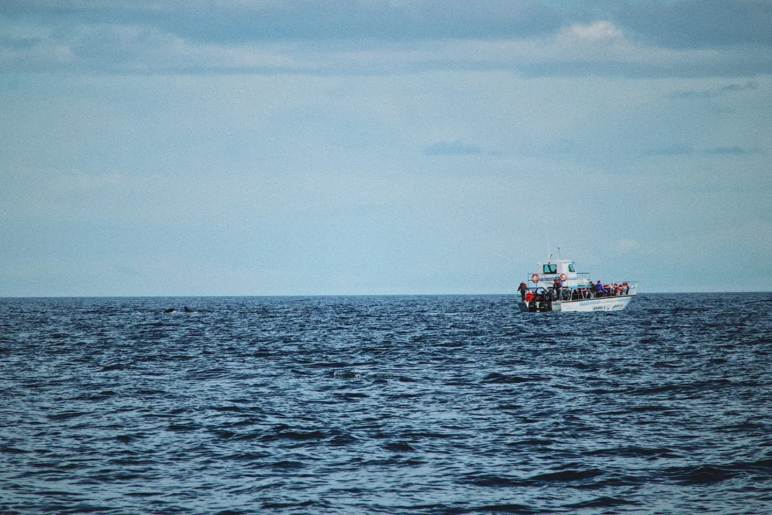Whale watching boat in Puerto Madryn © Coupleofmen.com