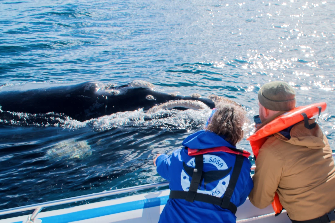 Whales within reach: Daan was so close to a whale during our tour with Peke Sosa Avistajes © Coupleofmen.com