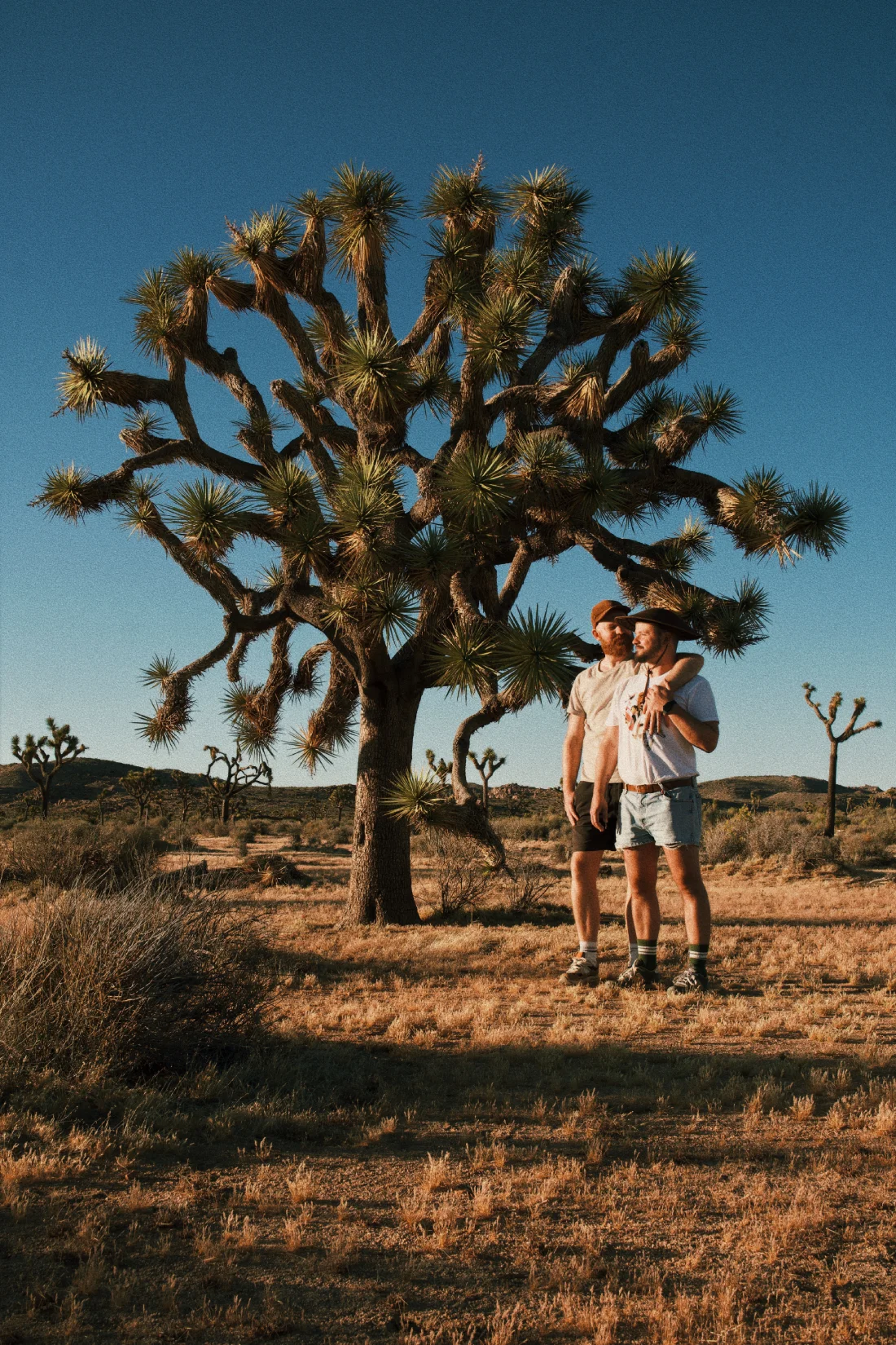 Gay Couple Photo in front of a huge Joshua Tree at JT Park © Coupleofmen.com