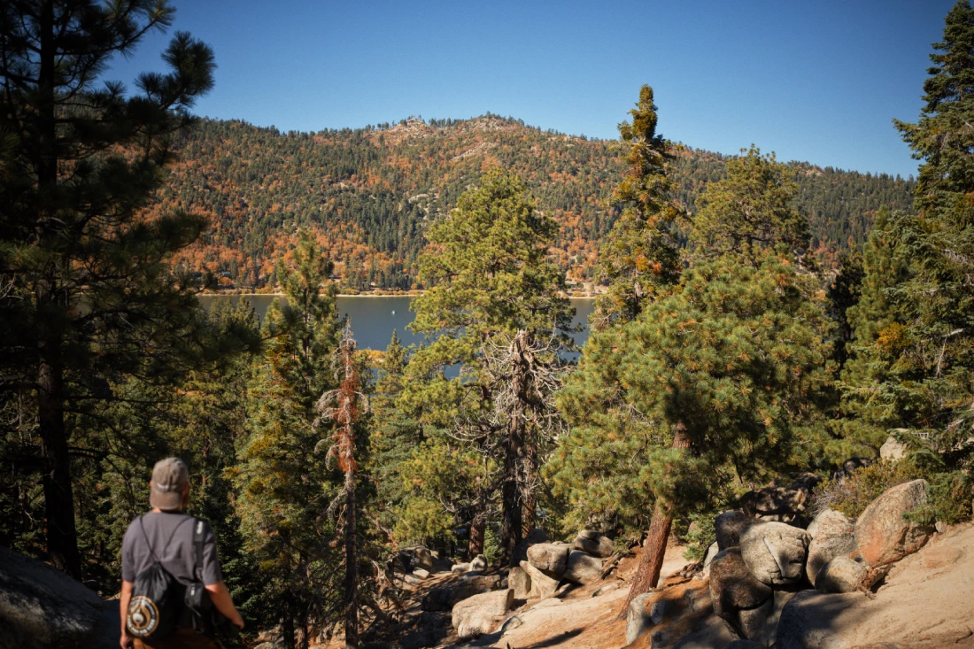 Natur pur in den Wäldern südlich vom Big Bear Lake © Coupleofmen.com