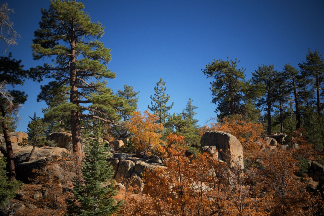 Windstill, herbstlich mild und farbenfroh - Big Bear Lake im Herbst